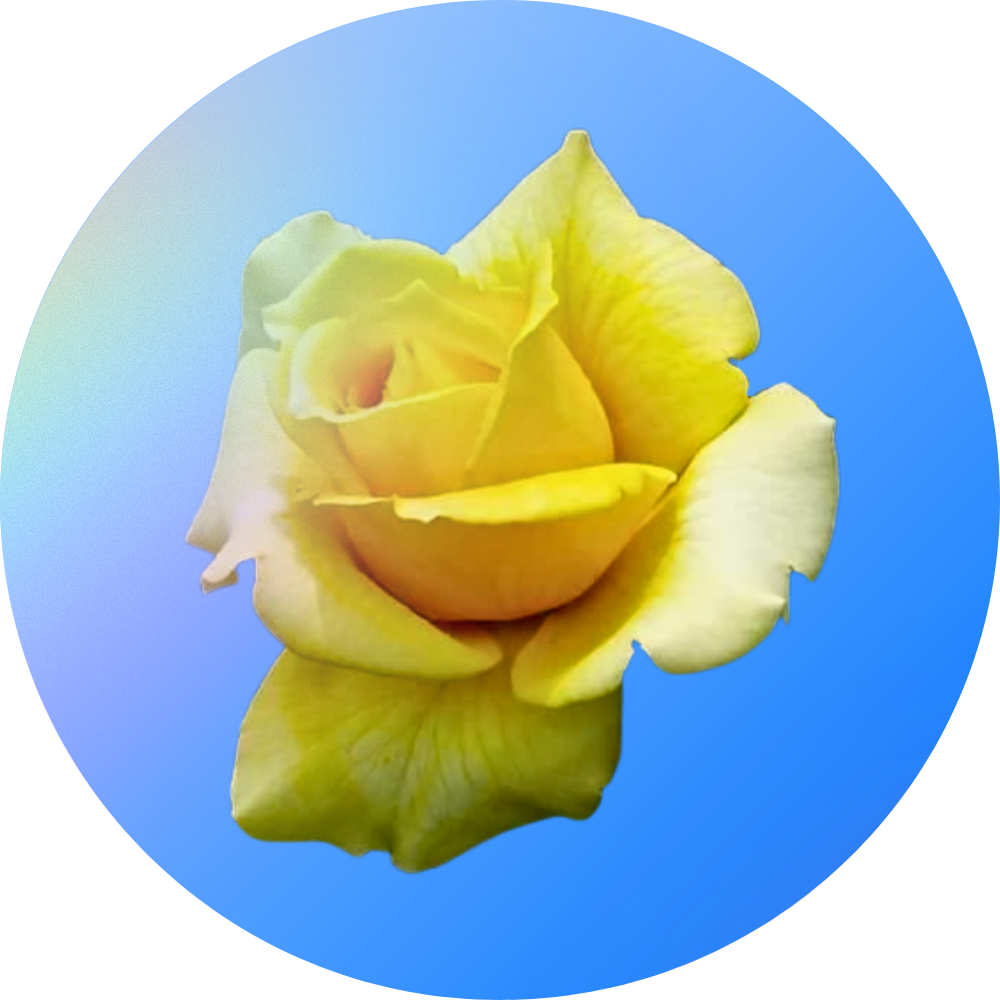 Palestras Espíritas São Leopoldo Casa Espiritualista