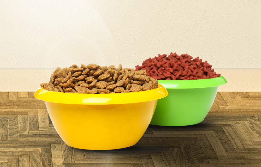 doação de ração para animais petsArrecadação Casa Espírita Casa Espiritualista São Leopoldo Fraternidade Estrela Íris SL